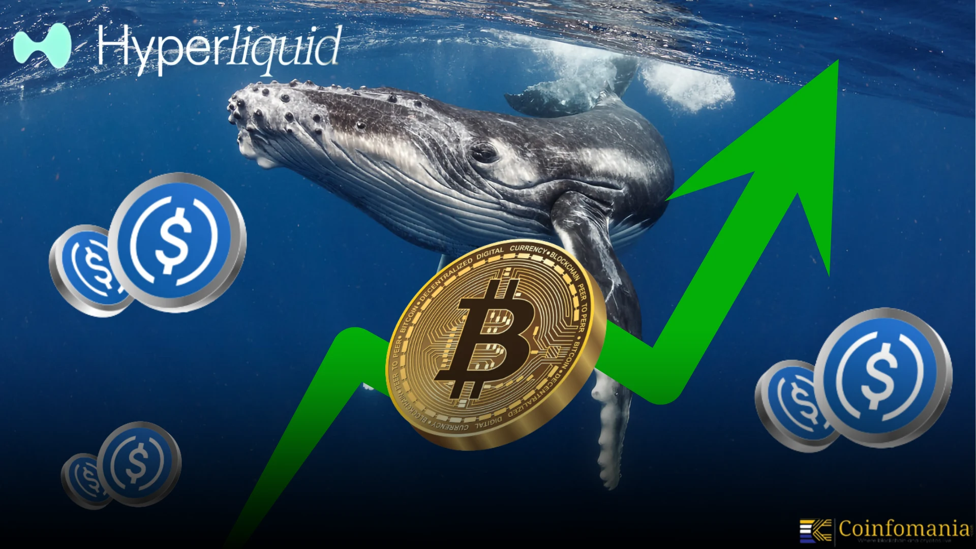 Whale ajoute 5,5 millions de dollars en USDC pour protéger un long BTC de  132 millions de dollars sur Hyperliquid