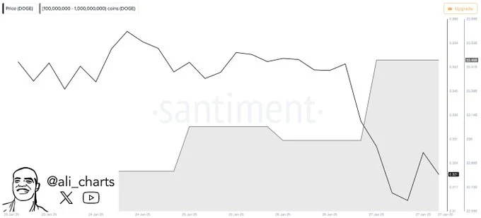 Dogecoin (DOGE) whale activity