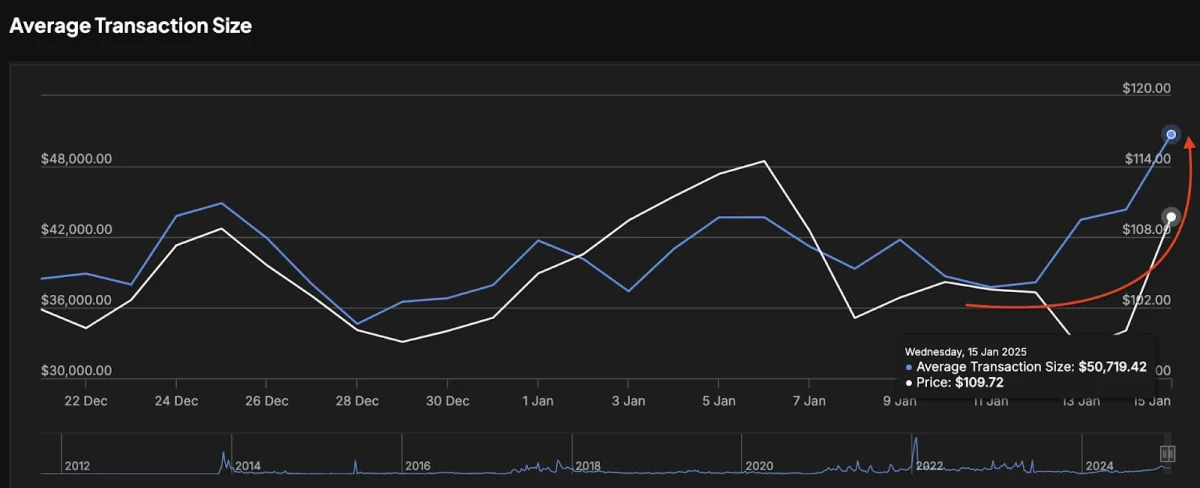 Litecoin whale activity