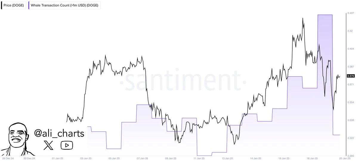 Dogecoin (DOGE) transactions