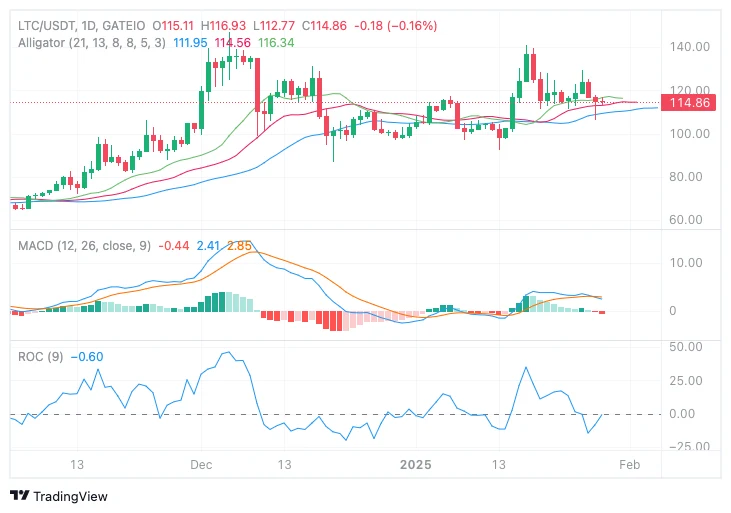 Litecoin daily chart